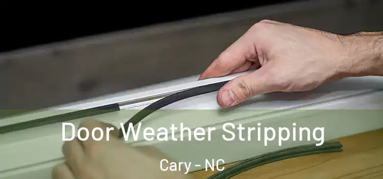 Door Weather Stripping Cary - NC