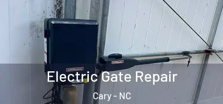  Electric Gate Repair Cary - NC