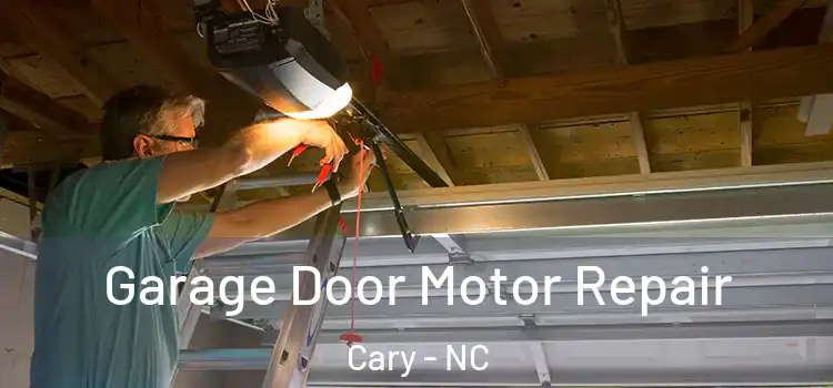  Garage Door Motor Repair Cary - NC
