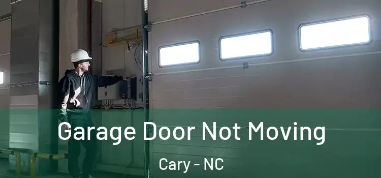  Garage Door Not Moving Cary - NC