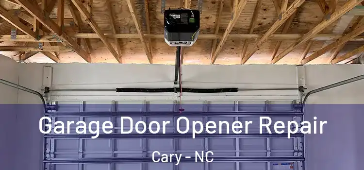  Garage Door Opener Repair Cary - NC