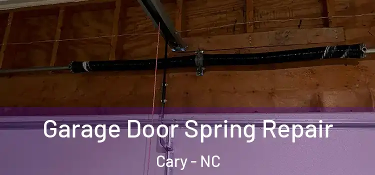  Garage Door Spring Repair Cary - NC