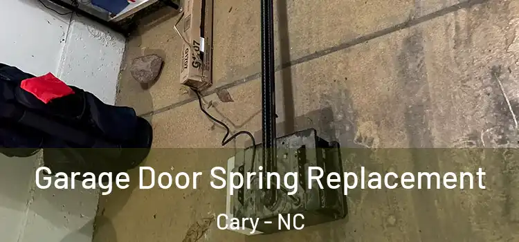  Garage Door Spring Replacement Cary - NC