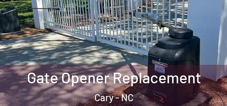 Gate Opener Replacement Cary - NC