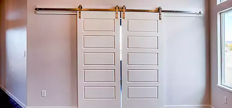 Glass Barn Door with Installation Hardware Kit Cary