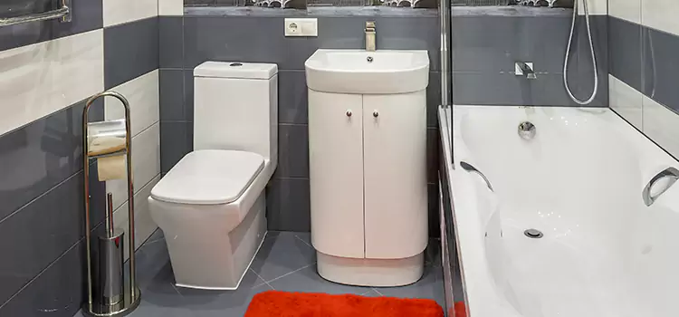Hansgrohe Shaving Mirror Cary